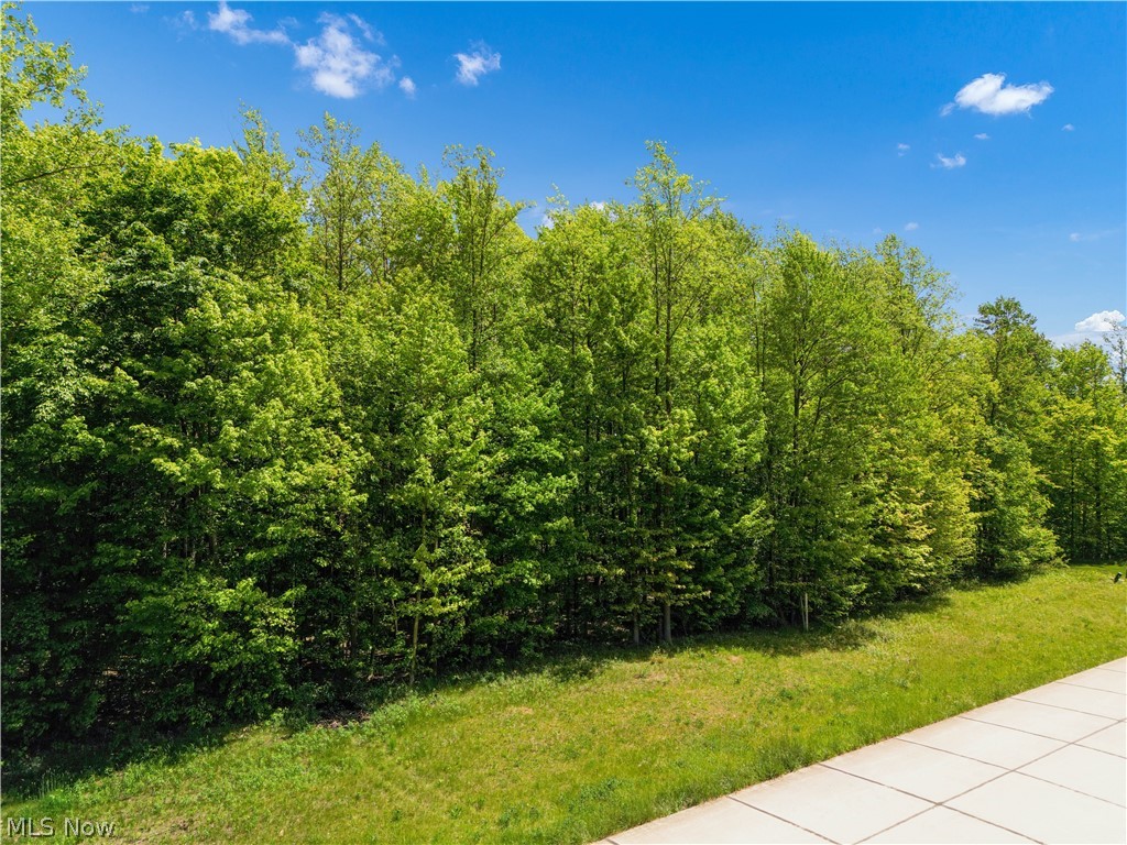 Tamarind Meadows - Land