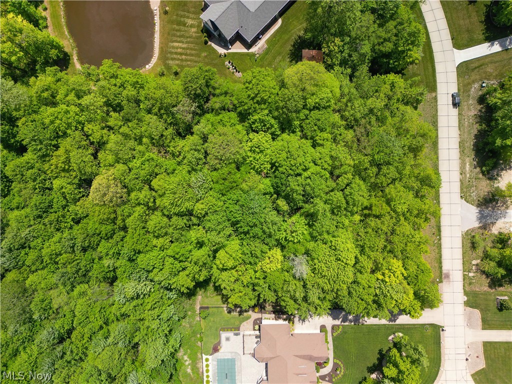 Tamarind Meadows - Land