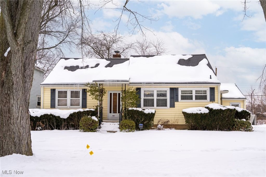 Photo of 401 Louisiana Avenue, Elyria, OH 44035 (MLS # 5185446)