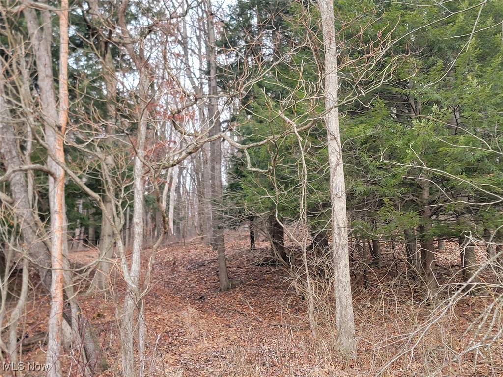 Briarcliff Road, Nashport, Ohio image 3