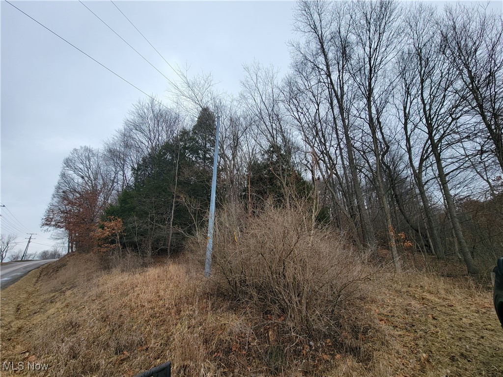 Briarcliff Road, Nashport, Ohio image 18