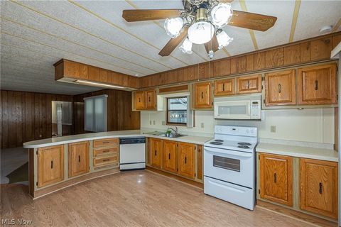 Tiny photo for 61 Parkway Street, Olmsted Falls, OH 44138 (MLS # 5189308)