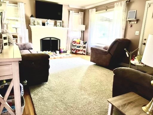 City/Niles - Residential