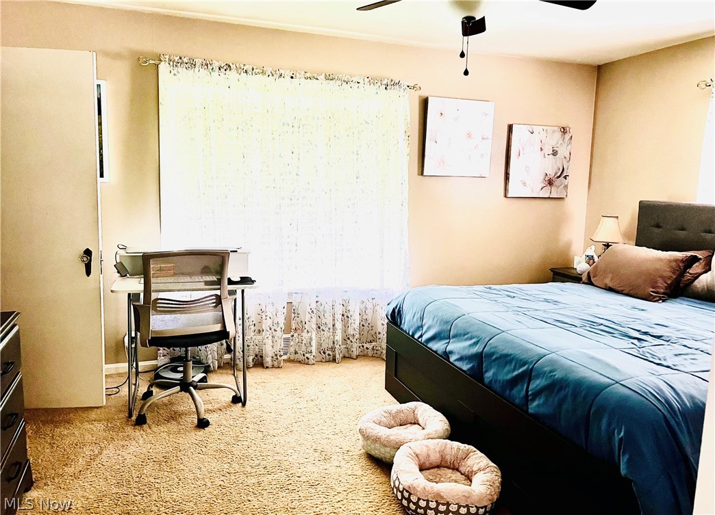 City/Niles - Residential