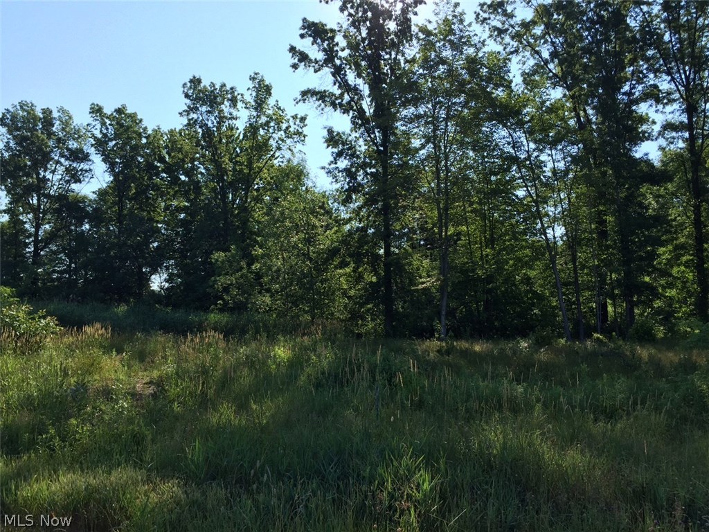 This is the VERY LAST AVAILABLE LOT in this beautiful subdivision! Lot is cleared, and ready to build on! Quiet cul de sac setting in a neighborhood of great homes. Rear of lot is wooded and private. Underground utilities! County sewer and water. Convenient to Rootstown Local schools and only 5 minutes from NEOMED - Northeast Ohio Medical College. Only 5 minutes to Interstate 76. There are no restrictions on when you must build. Buy the lot now and build when you are ready or get started right away!