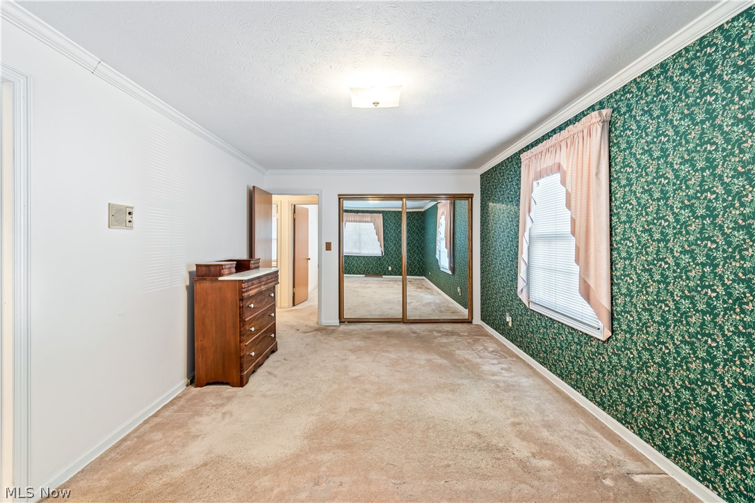 Tallmadge Woods 01 - Residential