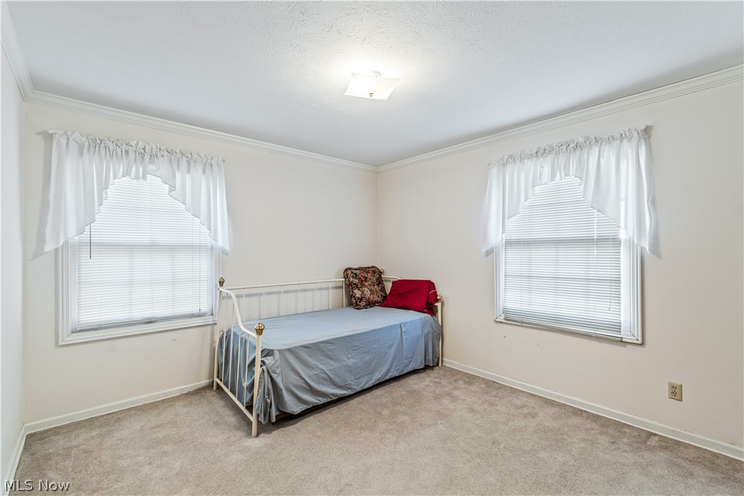 Tallmadge Woods 01 - Residential