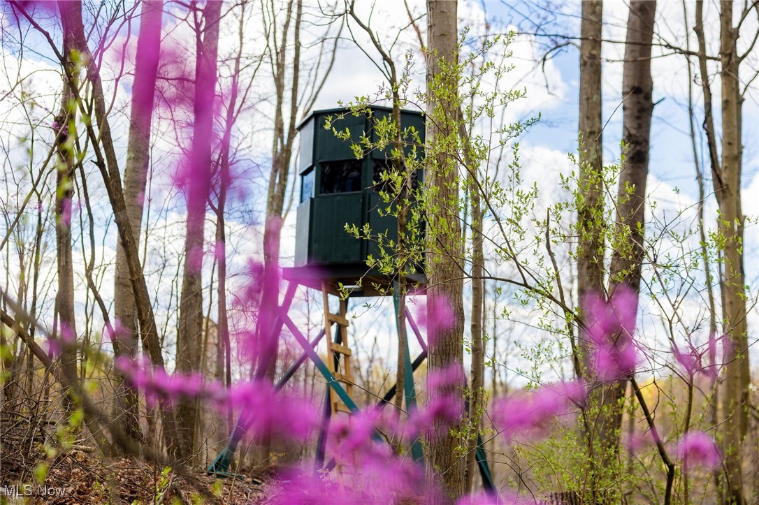 Ogles Ridge, Dexter City, Ohio image 4