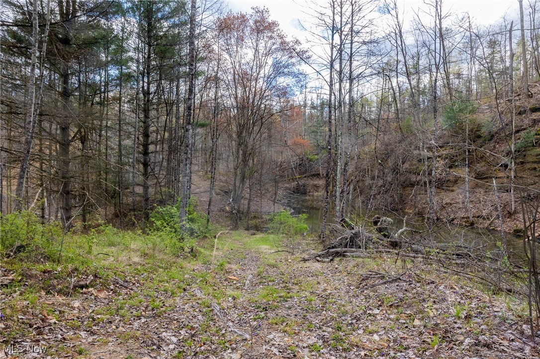 Ogles Ridge, Dexter City, Ohio image 26
