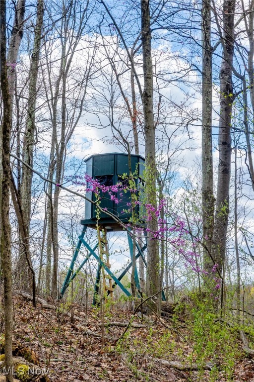 Ogles Ridge, Dexter City, Ohio image 39