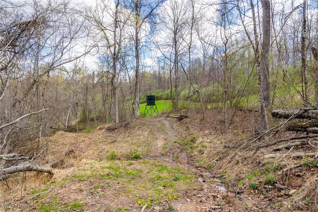Ogles Ridge, Dexter City, Ohio image 19