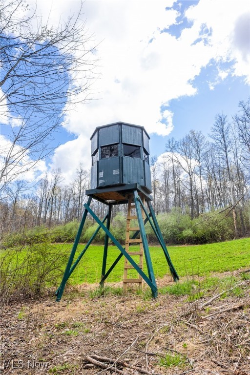 Ogles Ridge, Dexter City, Ohio image 11