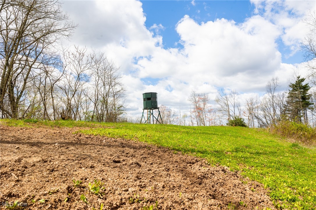Ogles Ridge, Dexter City, Ohio image 46