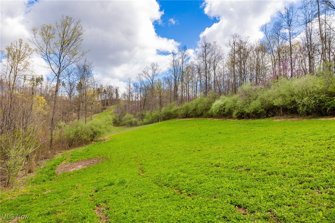 Ogles Ridge, Dexter City, Ohio image 12
