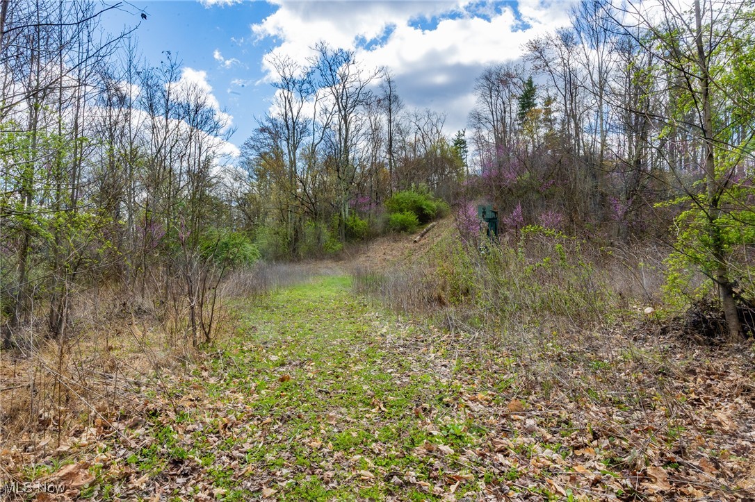 Ogles Ridge, Dexter City, Ohio image 36