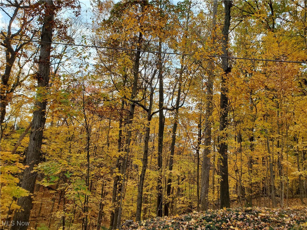 Township Rd 444, Warsaw, Ohio image 1