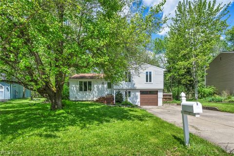 3717 Sea Ray Cove Aurora OH 44202
