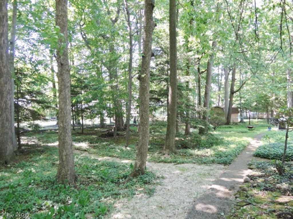 Wilson Mills Colony 05 - Residential