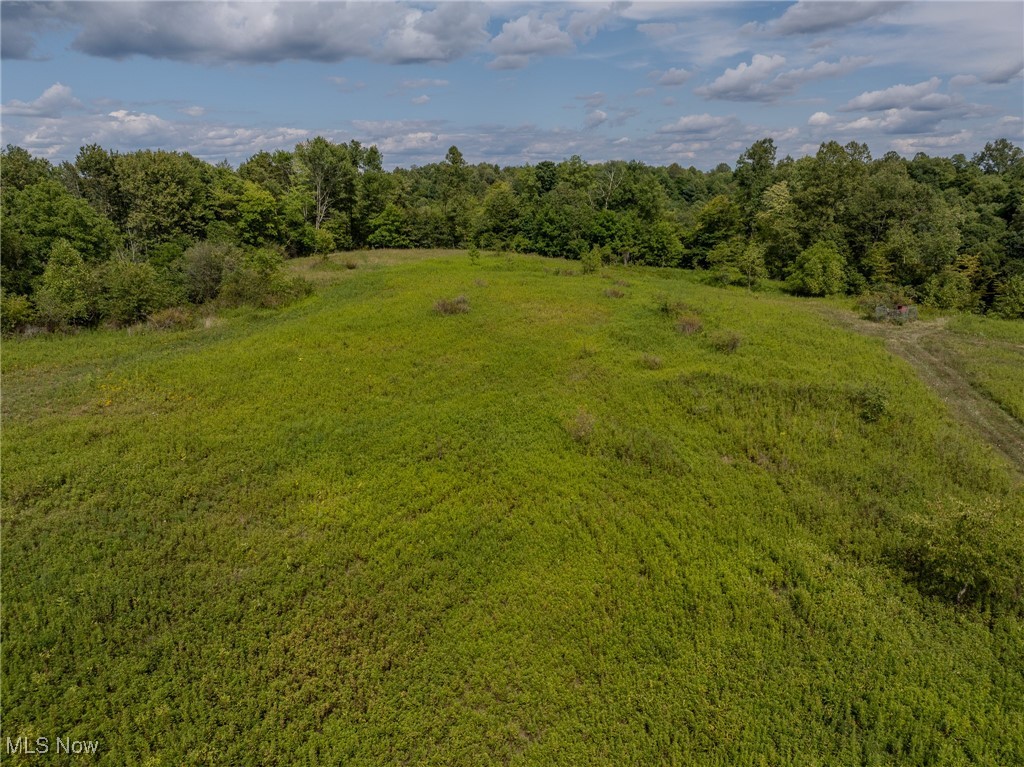 67655 Geese Road, Cambridge, Ohio image 34