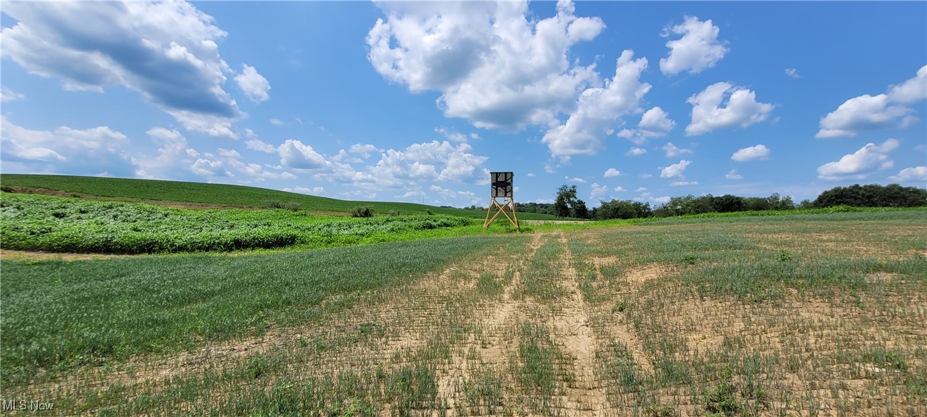 67655 Geese Road, Cambridge, Ohio image 17