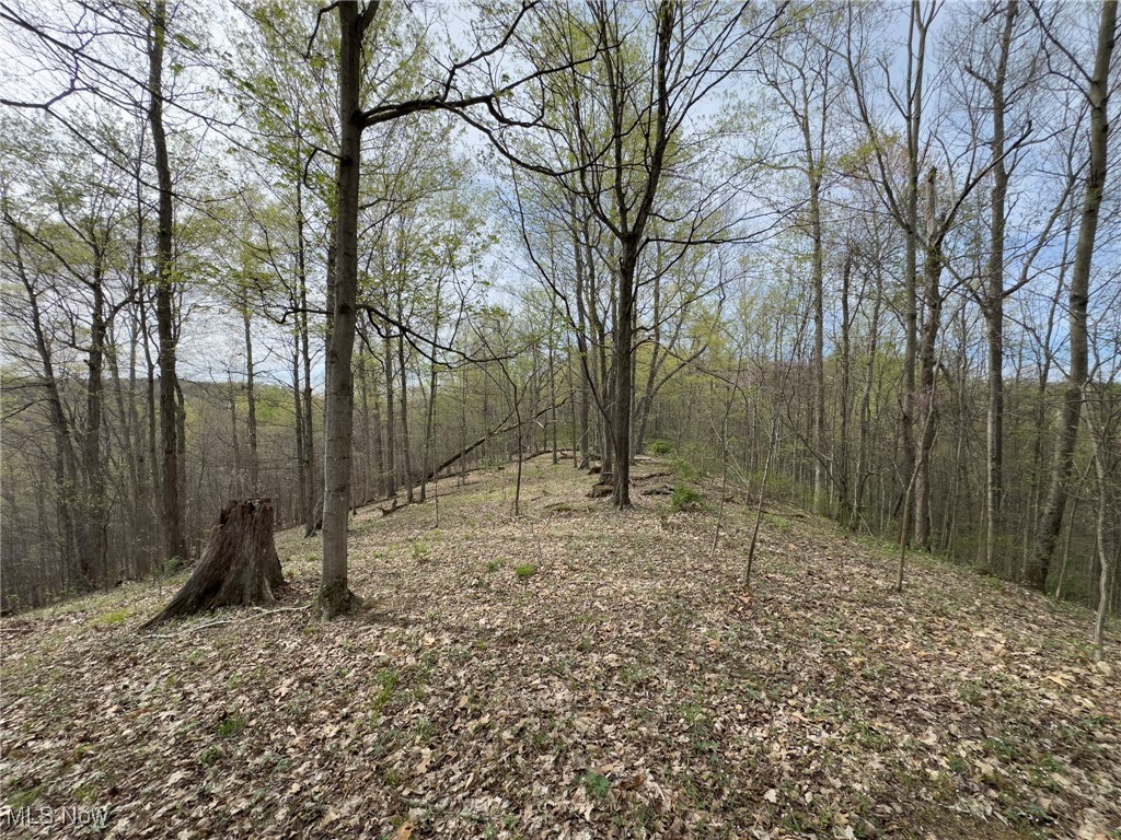 29607 Oh-26, New Matamoras, Ohio image 25