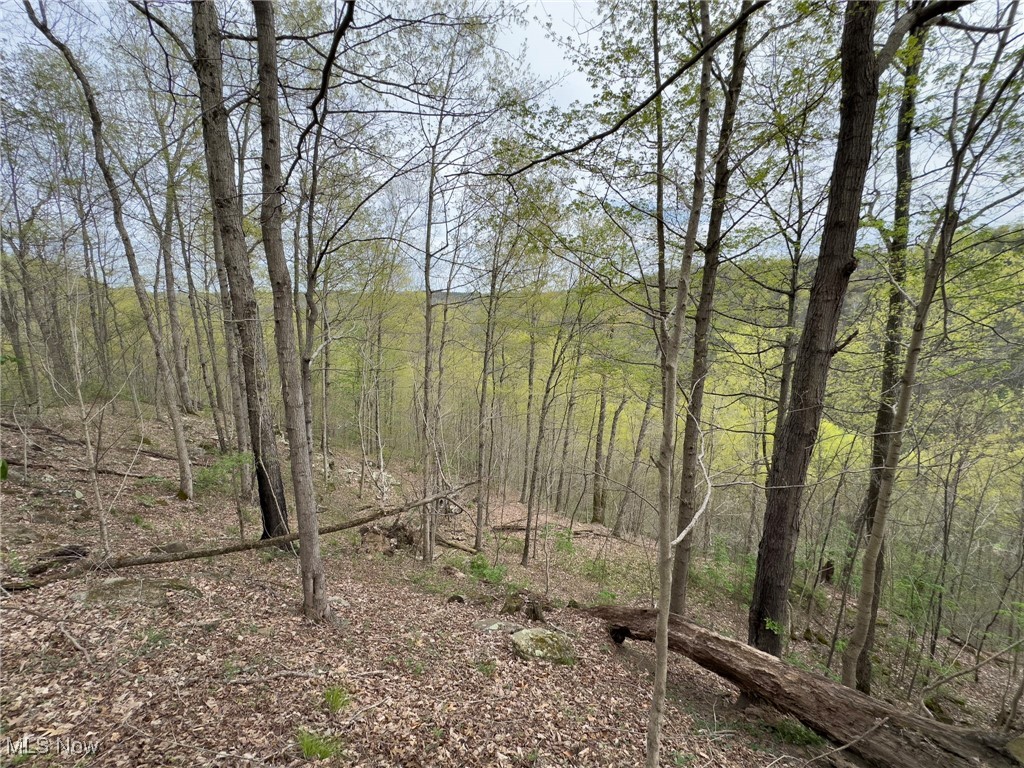 29607 Oh-26, New Matamoras, Ohio image 19