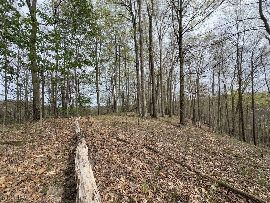 29607 Oh-26, New Matamoras, Ohio image 24
