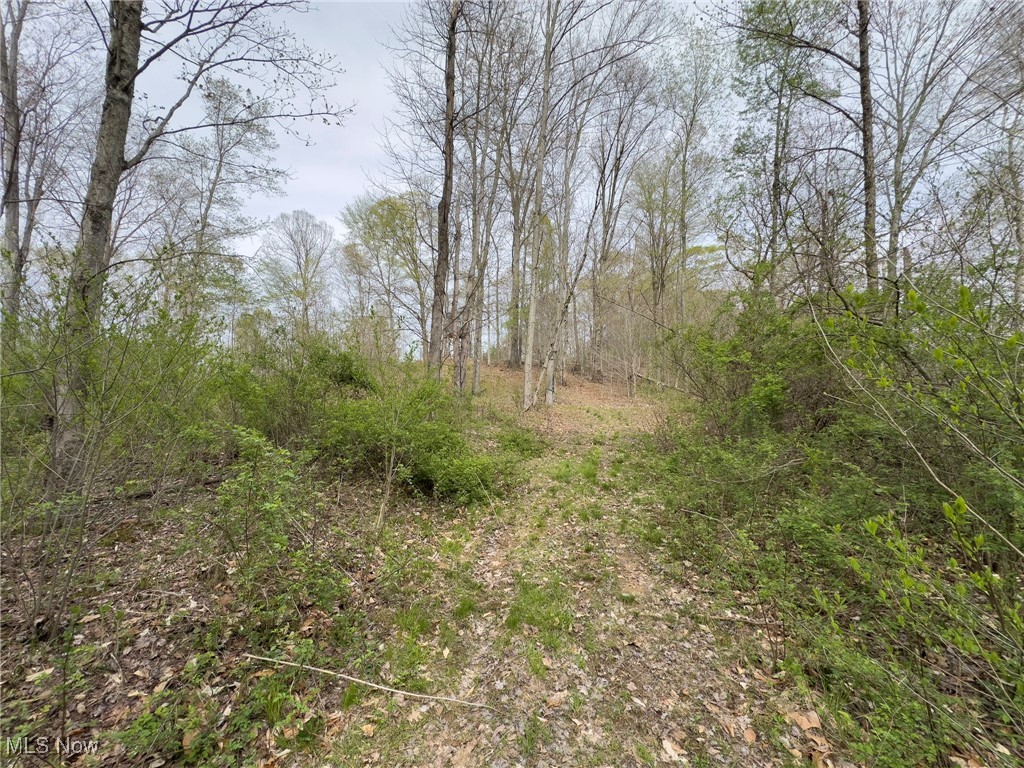 29607 Oh-26, New Matamoras, Ohio image 17