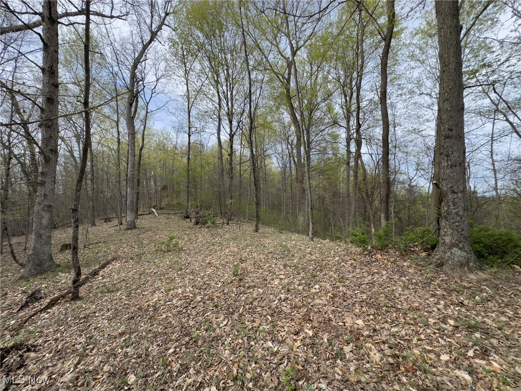 29607 Oh-26, New Matamoras, Ohio image 26