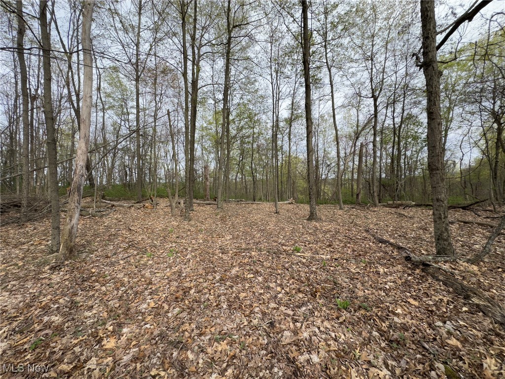 29607 Oh-26, New Matamoras, Ohio image 18