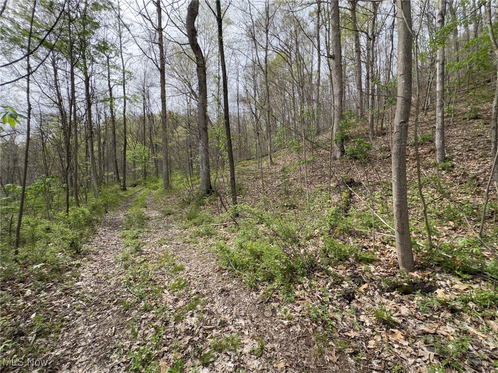 29607 Oh-26, New Matamoras, Ohio image 16