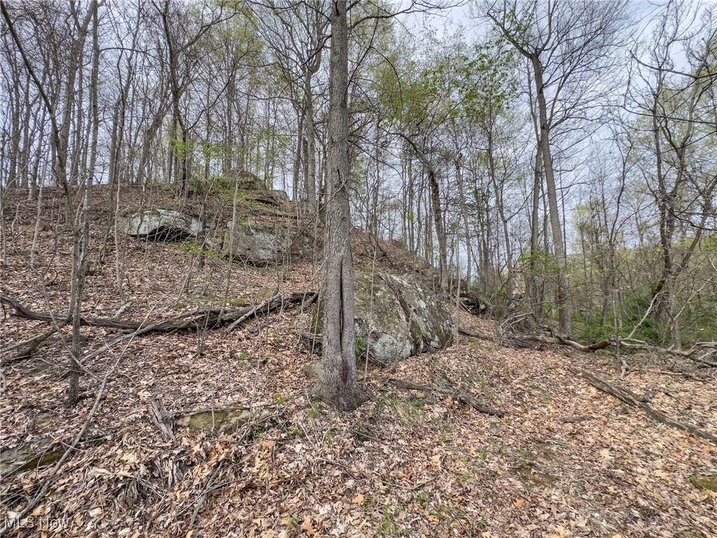 29607 Oh-26, New Matamoras, Ohio image 20