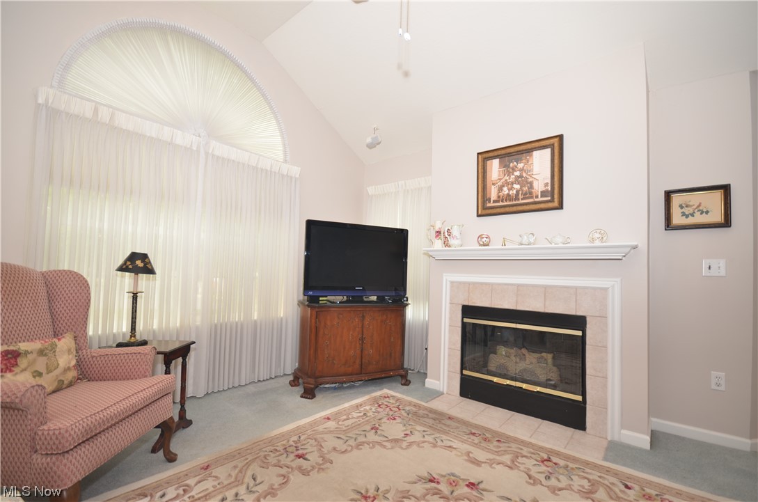 Villas at Chapel Hill - Residential