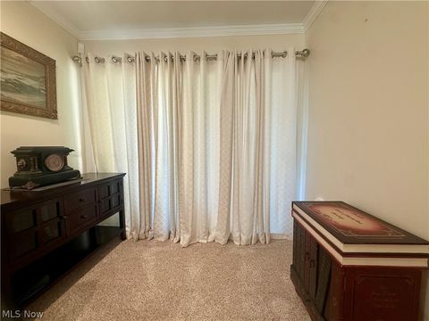 Tiny photo for 3000 N River Road NE, Warren, OH 44483 (MLS # 5220681)
