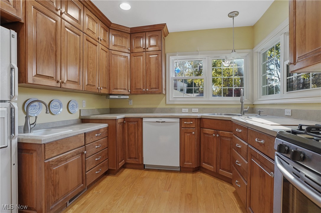 Silver Lake Estates - Residential