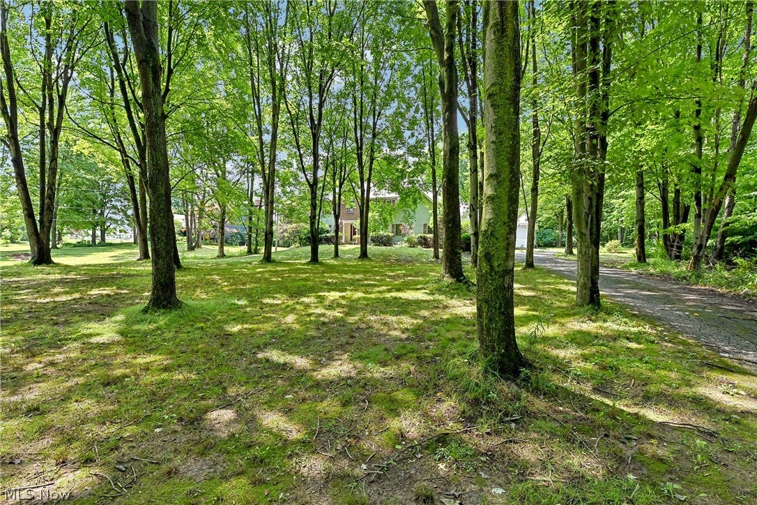 2660 S Medina Line Road