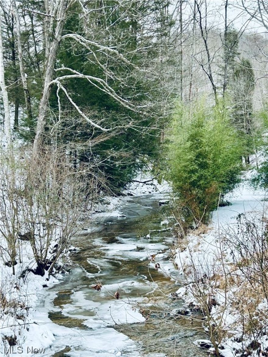 50+/- wooded acres, secluded hunting land, perfect for any outdoorsman. Located 3.5 miles from Interstate 79 & just 3 miles from the Elk River, with easy access to the Elk River Rail Trail. Envision your own private hunting camp with an abundance of Whitetail deer, turkey, and other small game and the river so close to do all the fishing you want.  With a creek front view and a natural spring, this property is perfect for an off grid hunting camp, all still within a short 1-hour drive to Charleston, the New River National Park and Summersville Lake. Owner agrees to have a new property survey done at time of offer acceptance. Don't wait to make your dreams a reality and call the listing agent today!