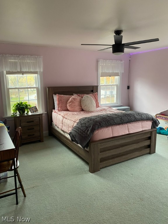 Overlook Heights Allotment - Residential