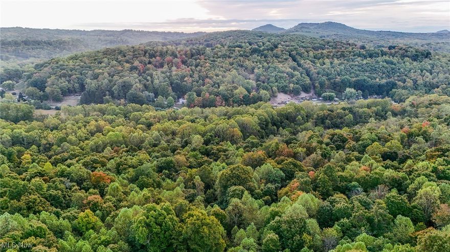 Nestled in the scenic foothills just south of Chillicothe, this 13+ Acre tract of land offers endless possibilities for your private retreat or hunting getaway. With public water and electric available, all that's left to add is septic and propane, if desired, for your future residence. Enjoy the convenience of being just a short drive from popular hiking destinations like Buzzard's Roost, Scioto Trail State Park, and Tar Hollow State Forest. Make your plans today to claim your slice of paradise in this peaceful, nature-filled setting