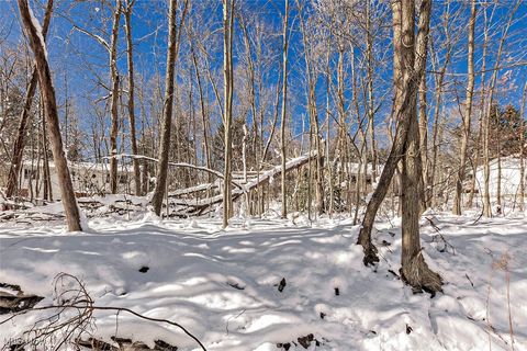 Vacant Land For Sale - V/L #17 Chillicothe Road<br/> Geauga County, Chagrin Falls, OH 44023