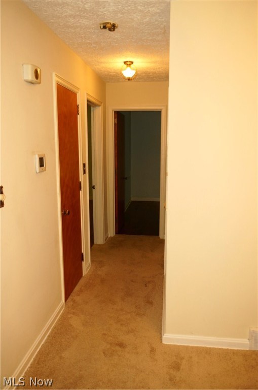 Carpenter - Residential