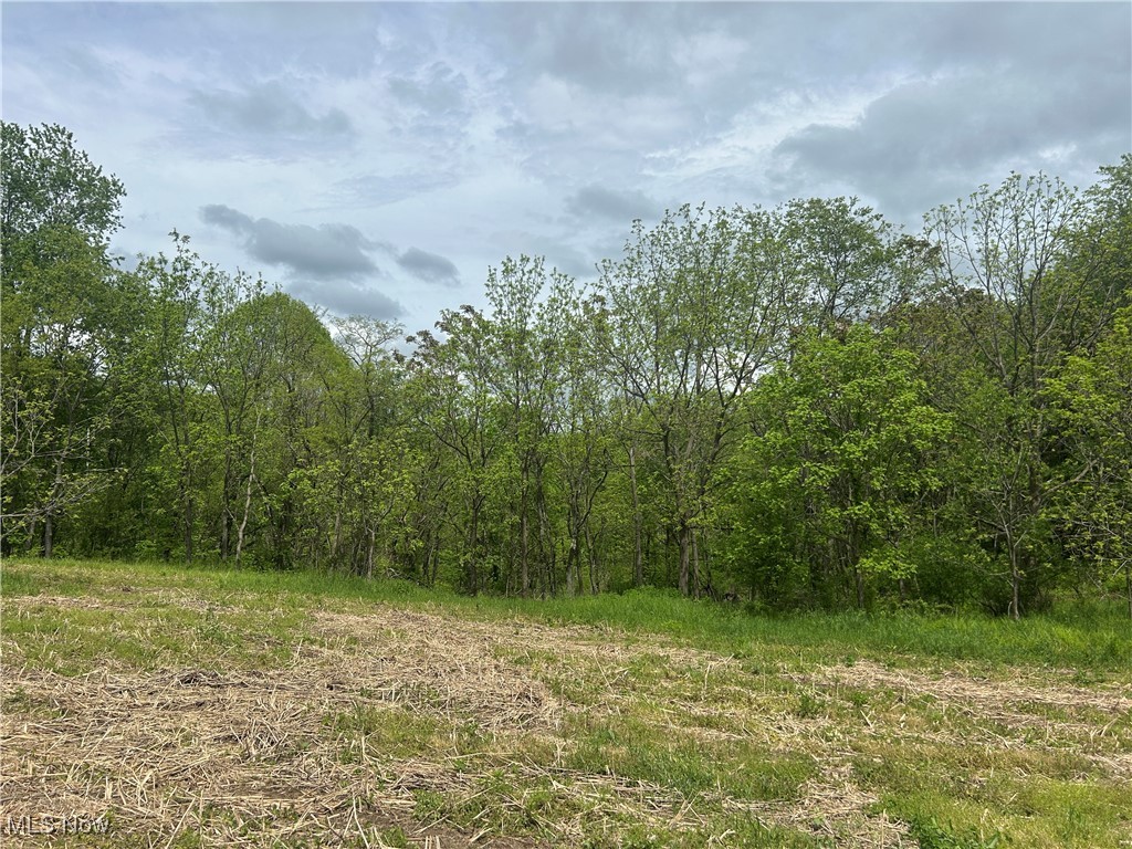 11769 Mills Road #1, Garrettsville, Ohio image 4