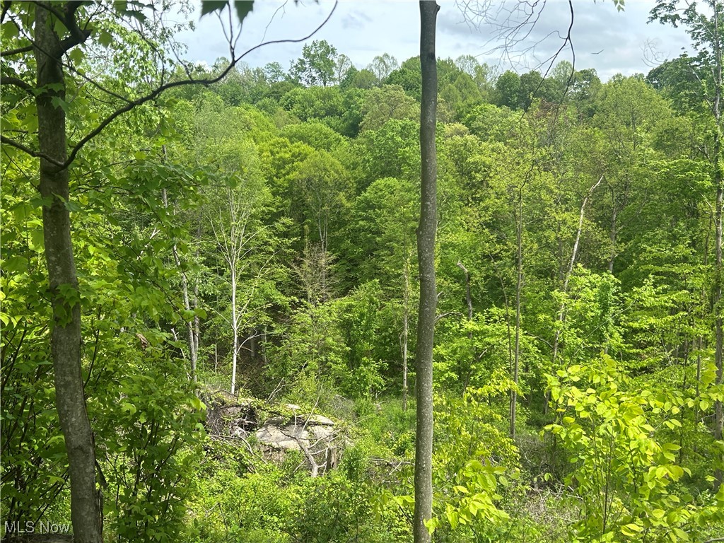 11769 Mills Road #1, Garrettsville, Ohio image 3