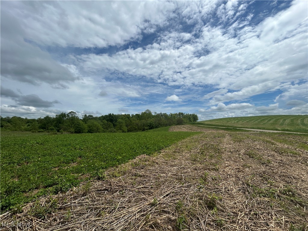 11769 Mills Road #1, Garrettsville, Ohio image 1