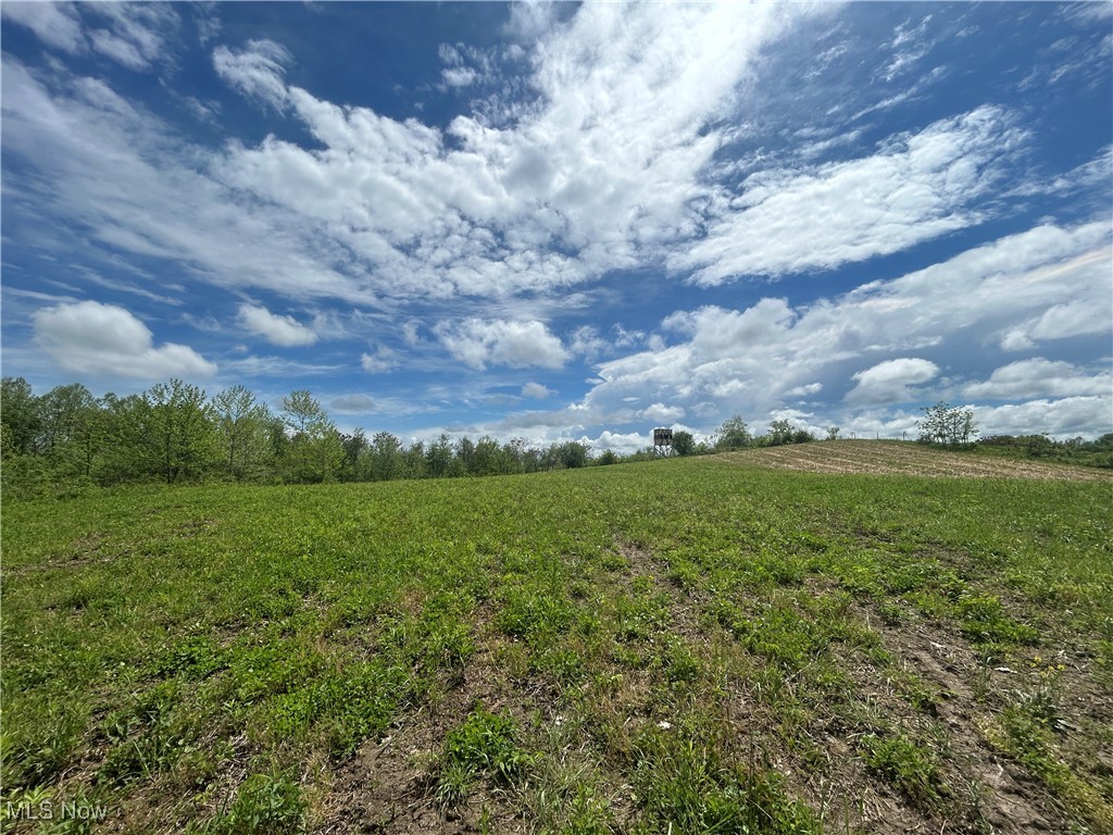 11769 Mills Road #1, Garrettsville, Ohio image 2