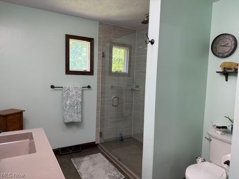 Tiny photo for 66599 Anna Drive, St Clairsville, OH 43950 (MLS # 5216749)