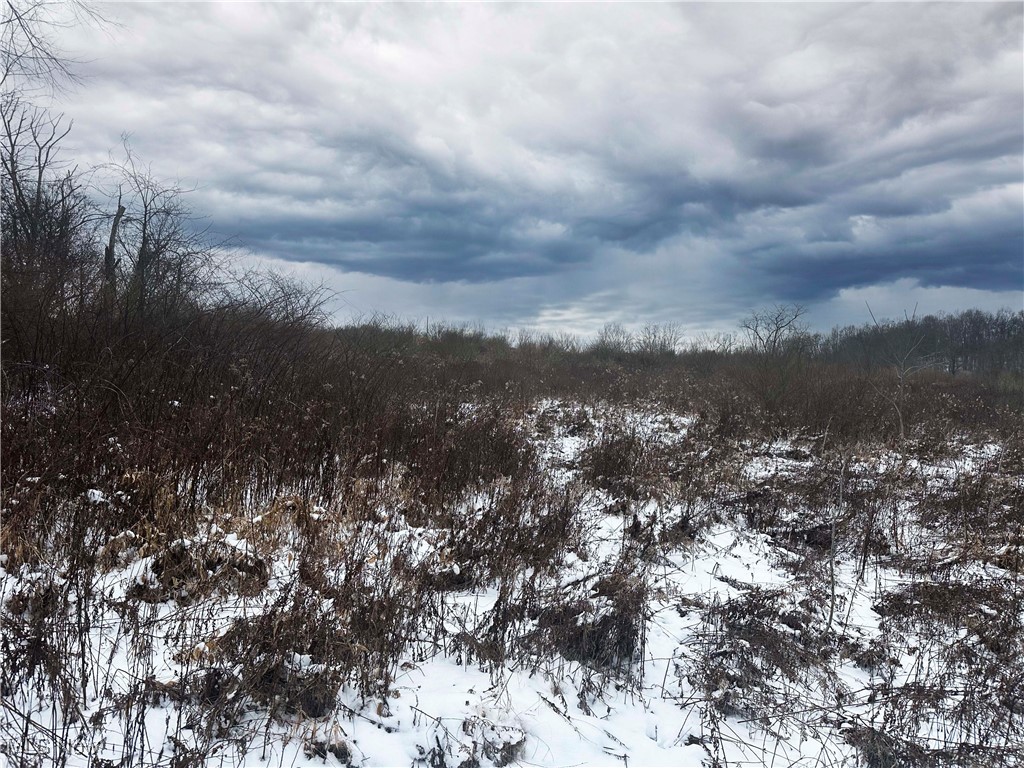 Township/Jackson - Land