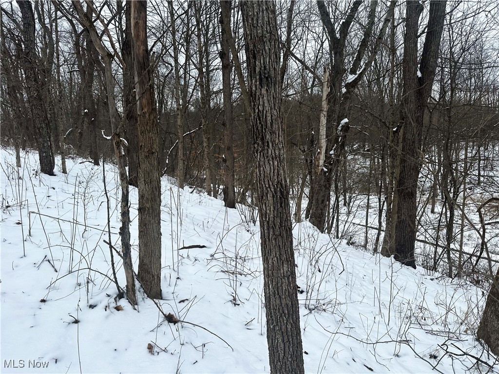 Township/Jackson - Land