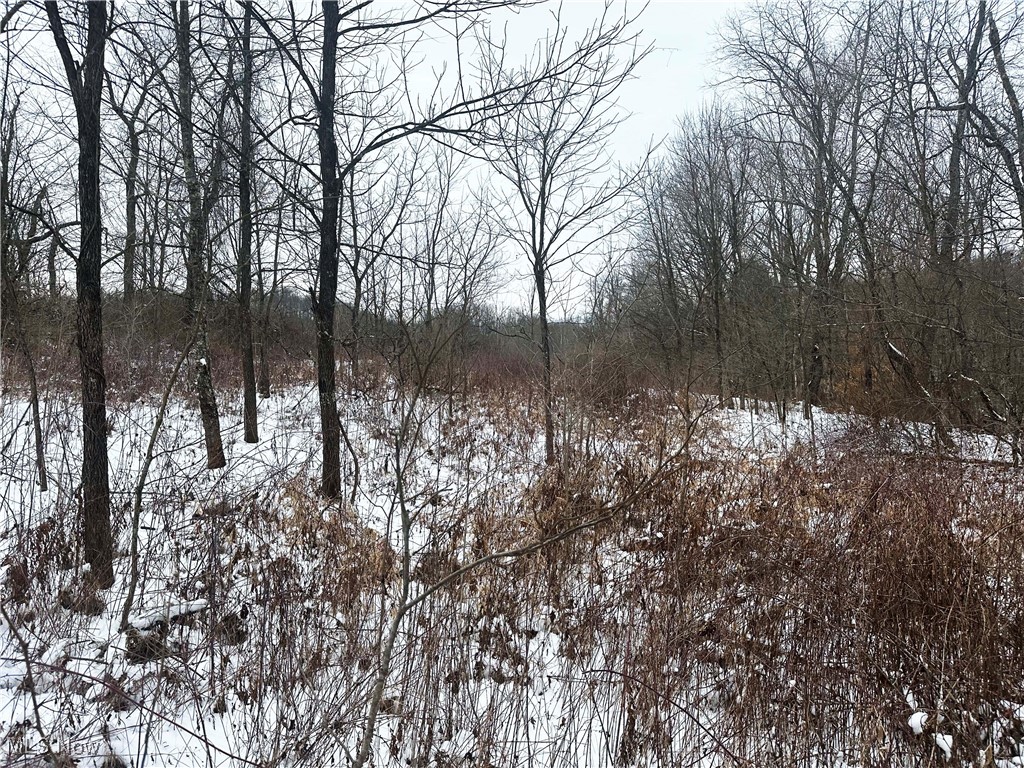 Township/Jackson - Land