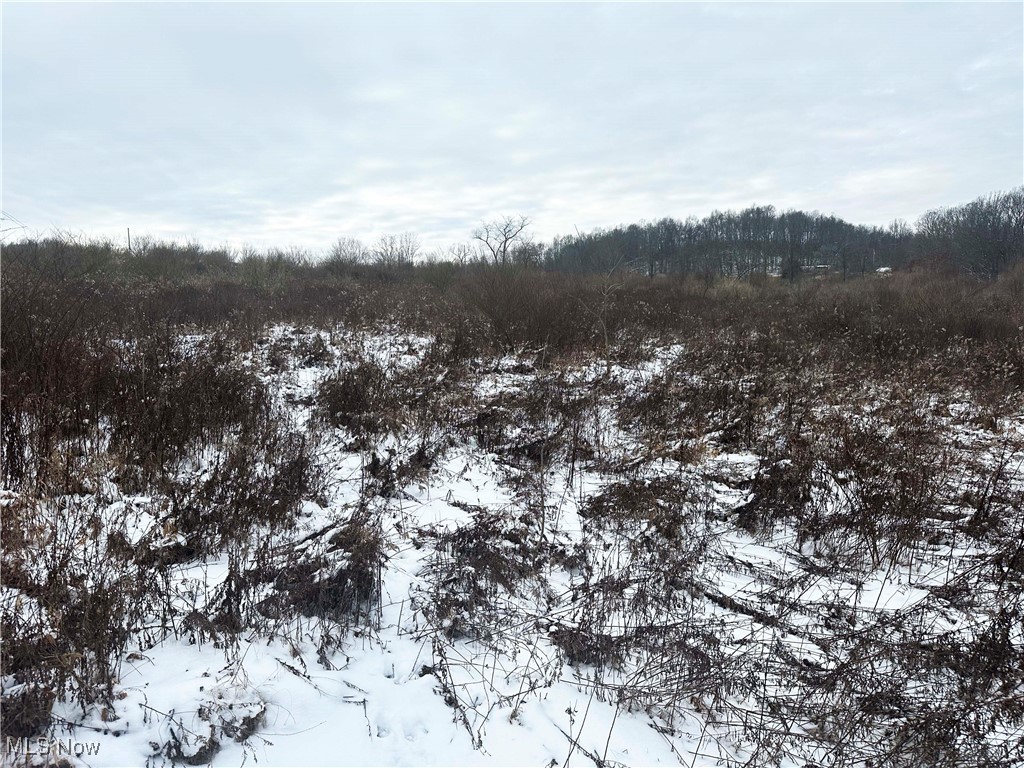 Township/Jackson - Land